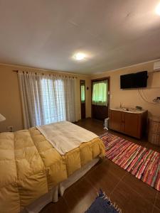 里瓦达维亚海军准将城Altos del Cordón的一间卧室配有一张大床和一台平面电视