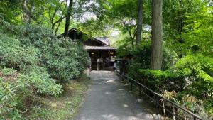 YumotoTabino Camping Base Akiu Tree House - Vacation STAY 23969v的通往树林中一座建筑的路径