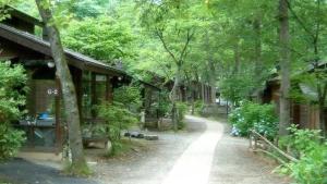 YumotoTabino Camping Base Akiu Tree House - Vacation STAY 23970v的林中树木和建筑的路径