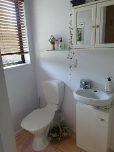 上哈特Mangaroa, farmstay的白色的浴室设有卫生间和水槽。