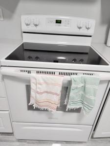 布兰普顿SUITE A 2 Bedroom Apartment的炉灶和烤箱上的两条毛巾