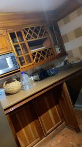 PINEVALLEY APT.SUITE 3A的厨房配有木制橱柜和台面