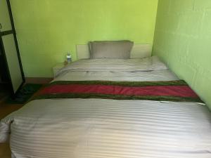 加德满都Kankali Viewpoint Resort Pvt Ltd的绿色墙壁间的一张床位