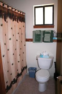 埃斯蒂斯帕克Timber Creek Chalets- 4 chalet的一间带卫生间和淋浴帘的浴室
