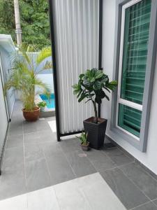 关丹Homestay with pool kuantan的房屋边种有盆栽植物的门廊