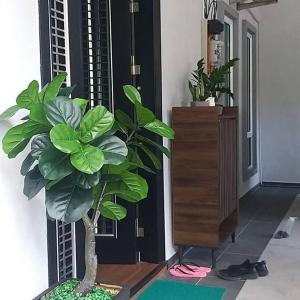 关丹Homestay with pool kuantan的地板上放着盆子的房间