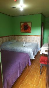 Coxen HoleHotel Economica的一间卧室设有两张床和绿色的墙壁