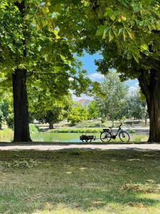斯图加特贝格酒店的停在公园长凳旁边的自行车