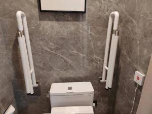 成都成都武侯渝江皇冠假日酒店的一间带卫生间的浴室和墙上的照片