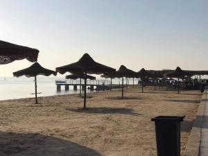 伊斯梅利亚قرية النورس مكتب السعد的海滩上的一组遮阳伞,带有码头