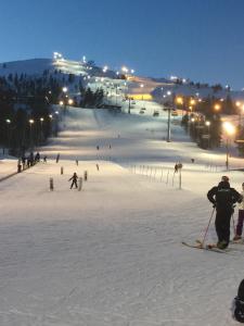 普哈圣山Ankkalinna的一群人晚上在滑雪场滑雪