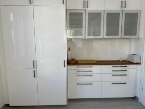 康斯坦茨Blum Ferienwohnung的白色的厨房配有白色的橱柜和柜台。