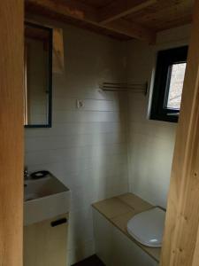 马特劳森蒂姆赖POP Tiny House Mátra的一间带卫生间和水槽的小浴室