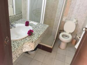 沙姆沙伊赫Regency Lodge Hotel的一间带水槽、卫生间和淋浴的浴室