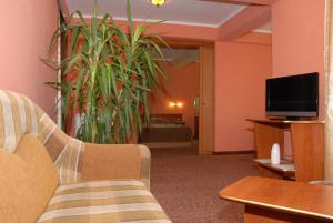 德罗贝塔-塞维林堡图尔努尼卡欧罗巴旅馆的带沙发和平面电视的客厅