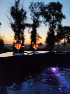 BekkevoortLianko - Vakantiewoning的两个酒杯坐在桌旁的桌子上