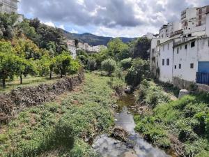 托洛克斯Casita Tolox的城市中河流景观,建筑