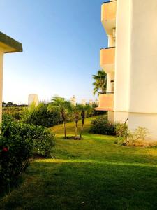 丹吉尔NOUVEAU, Residence Cap Spartel avec une vue sur mer的棕榈树建筑旁边的草地庭院