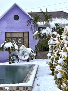 伊斯梅尔雷AkbA-Frame3的紫色的房子,在雪地里设有一个游泳池
