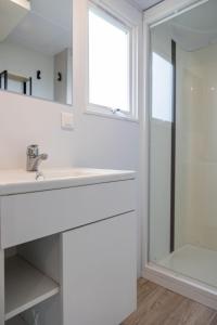 De VeenhoopHoliday Home Natuurlijk de Veenhoop by Interhome的白色的浴室设有水槽和淋浴。
