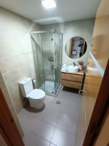 格拉纳达Acogedora habitación privada en Villa Mayka的带淋浴、卫生间和盥洗盆的浴室