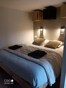蓬塔穆松Aux pieds de la colline de Mousson的卧室内的一张床位,配有两个枕头