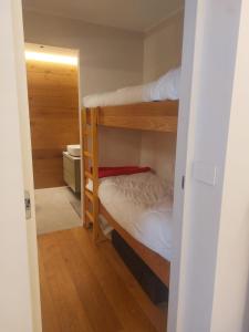 萨奥兹-杜尔克斯Sauze Apartment的一间小房间,内设两张双层床