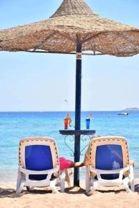 伊斯梅利亚قرية النورس مكتب السعد的两人坐在海滩上一把遮阳伞下的椅子上