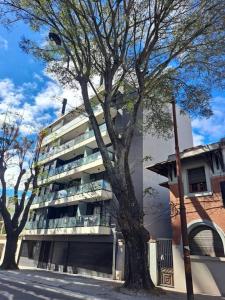 蒙得维的亚Nuevo, apartamento completo, parking, en Cordón Soho的前面有一棵树的高楼