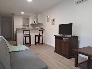 蒙得维的亚Nuevo, apartamento completo, opción parking, en Cordón Soho的带沙发和电视的客厅以及厨房。