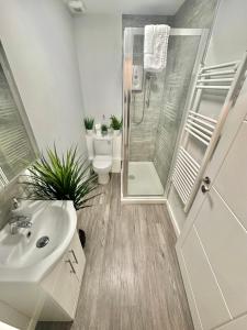 伯恩茅斯Sleek Urban Getaway - With Parking的一间带水槽、卫生间和淋浴的浴室