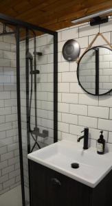 布布拉瓦VAGONBublava的浴室水槽设有淋浴和镜子