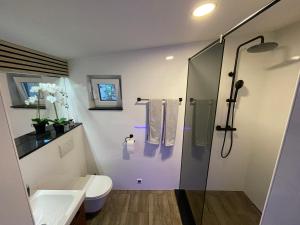 森克Green Oasis Garden的带淋浴、卫生间和盥洗盆的浴室