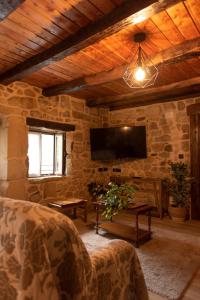 San MarcosArialdegi的客厅设有石墙和电视