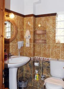 埃拉蒂特里卡隆ΛΑΓΟΥΜΙ suite Α1的一间带水槽和卫生间的浴室