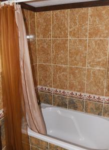 埃拉蒂特里卡隆ΛΑΓΟΥΜΙ suite Α1的浴室设有带浴帘的浴缸