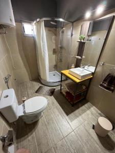 弗赖本托斯María Chusena alojamiento 1的浴室配有卫生间、盥洗盆和淋浴。