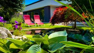 森克Green Oasis Garden的花园池塘旁的两把红色椅子