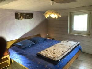 Sainte-Croix-aux-MinesMaison de 6 chambres avec jardin amenage et wifi a Sainte Croix aux Mines的一间卧室配有一张带蓝色床单的床和一扇窗户。