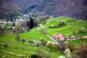 Sainte-Croix-aux-MinesMaison de 6 chambres avec jardin amenage et wifi a Sainte Croix aux Mines的绿山,田野中间有房子