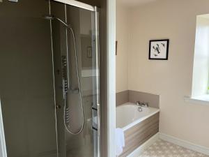 牛顿斯图尔特Apple Cottage的带淋浴、浴缸和盥洗盆的浴室