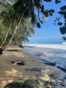 卡维塔Casa Rio Verde的棕榈树和海洋的沙滩