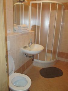 大洛西尼Apartmán Edita的浴室配有卫生间、盥洗盆和淋浴。
