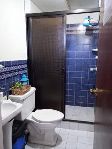 圣安娜Pool House Hostel的浴室设有卫生间和蓝色瓷砖淋浴。