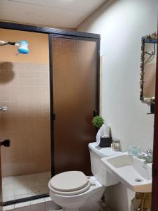 圣安娜Pool House Hostel的一间带卫生间和水槽的浴室