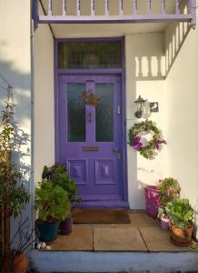 法尔茅斯Falmouth Lodge的盆栽植物房子上的紫色门
