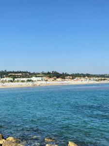 法诺Da Andrea的一片大片的海水,背面是海滩