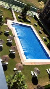 格拉纳达Acogedora habitación privada en Villa Mayka的享有带椅子和遮阳伞的游泳池的上方景色