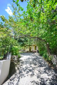 Agios VlasiosSmall Villa Gerani的一条有树木的走道和一座建筑