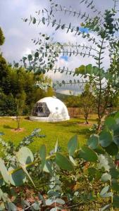 下博克特Dome in the Heart of Boquete.的花园中间带冰屋的田野